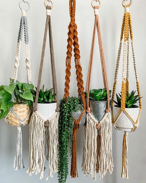 Macrame Plant Hanger Colorful, Colored Macrame Plant Hanger, Colorful Macrame Plant Hanger, Two Color Macrame Plant Hanger, Macrame For Plants, Hanging Plants Macrame, Macrame Plant Holder Diy, Macrame Hanging Plants, Crochet Hanging Plants