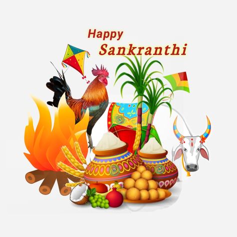 sankranthi image. sankranthi wishes Sankranthi Wishes In English, Sankranthi Wishes In Telugu, Sankranthi Wishes, Moana Poster, Sankranthi Festival, Happy Pongal Wishes, Pongal Wishes, Happy Sankranti, Happy Diwali Wishes Images