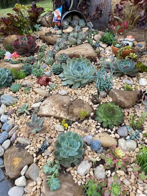 Large Succulents Garden Outdoor, Miniature Rock Garden, Rock Garden Design Ideas, Modern Rock Garden, Easy Diy Landscaping, Succulent Garden Outdoor, Succulent Rock Garden, Rockery Garden, Succulent Garden Landscape