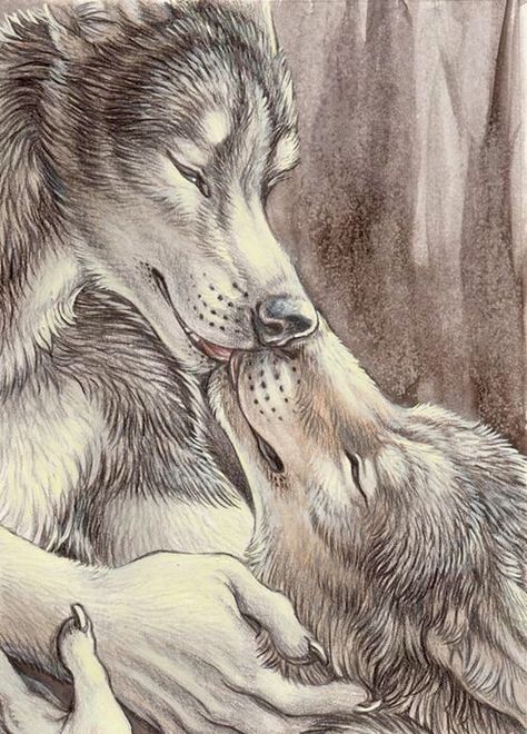 Anime Wolves, Alpha Werewolf, Wolf Life, Wolf Warriors, Alpha Wolf, Art Magic, Werewolf Art, Wolf Love, Wolf Drawing