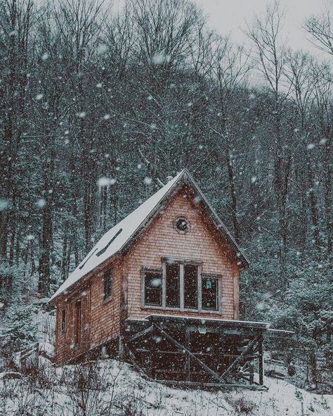 A Cabin In The Woods, Little Cabin In The Woods, Woodland House, Cabin Tiny House, Rustic Exterior, Forest Cabin, Off Grid Cabin, Cabin Living, Winter Cabin