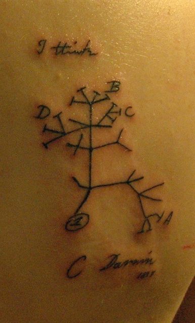 This is a tattoo of Darwin's first drawing of a phylogeny exactly how it appeared in his journal, including "I think". Awesome example of science-related ink :) Charles Darwin Tattoo, Darwin Tattoo, Biology Tattoo, Evolution Tattoo, Phylogenetic Tree, Science Tattoo, Science Tattoos, Geometric Tattoo Arm, Awesome Tattoo