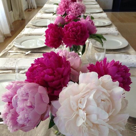 Peonies Table Decoration, Fuchsia Decor, Large Arrangement, Table Flower Arrangements, Table Flower, Barefoot Contessa, Peony Flowers, Table Arrangements, Giraffes