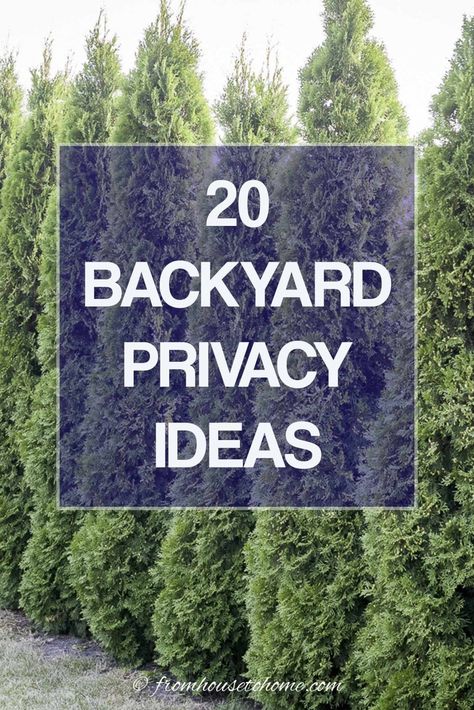 I love these backyard privacy ideas. Great ideas for pergolas, trellises, and privacy screens that will help to keep the neighbors from seeing into your yard. #fromhousetohome #gardenprivacy #gardendesign #gardenstructures Lattice Privacy Fence, Backyard Privacy Ideas, Privacy Trellis, Yard Privacy, Privacy Ideas, Yard Deck, Privacy Landscaping, Too Close For Comfort, Diy Trellis