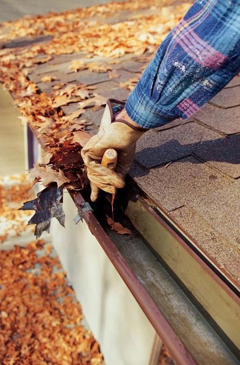 About | KYG Gutter Cleaning & Repairs | Lynn Update Curb Appeal, Attic Door Insulation, Gutter Screens, Gutter Cleaner, Leaf Guard, Window Washing, Gardening Services, Seamless Gutters, Attic Office