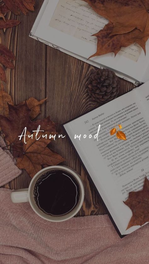 Autumn Mood Aesthetic, Bookshelves Background, Fall Aesthetic Books, Autumn Books Aesthetic, Cottage Autumn, Autumn Aesthetic Wallpaper, Fall Mood Board, Cute Fall Wallpaper, Fall Background