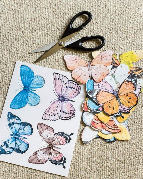 Feather Butterfly Diy, Diy Butterfly Art, Butterfly Diy Crafts, Butterfly Wall Decor Diy, Entomology Decor, Butterfly Study, Butterfly Wall Art Diy, Diy Butterfly Decorations, Printable Butterflies