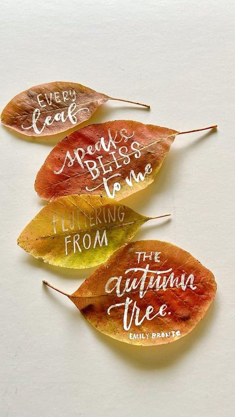 Writing on Leaves | Leaf craft activities, Hand lettering tutorial, Letter a crafts Leaf Calligraphy, Leaf Journal, Leaf Craft Activities, Leaf Craft, Recycle Crafts Diy, Calligraphy Lessons, Sharpie Crafts, Word Patterns, Diy Leaves