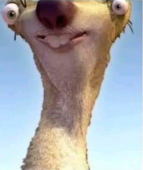 Sid the Sloth, Ice Age Sid Ice Age, Ice Age Sid, Sid The Sloth, Il Re Leone, Ice Age, Japanese Aesthetic, Really Funny Memes, Dreamworks, Sloth