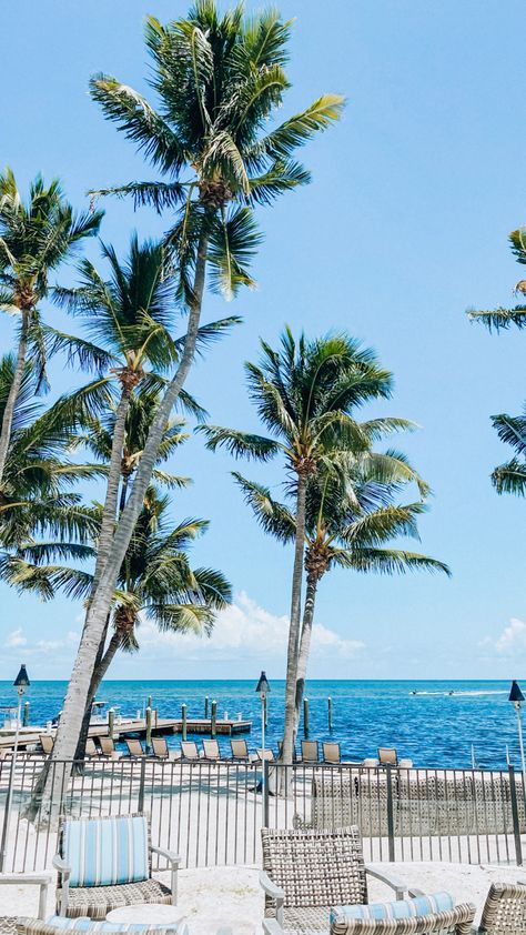 Beutiful July Day at the Florida Keys Iphone Background Florida Iphone Wallpaper, Florida Wallpaper Iphone, Florida Background, Florida Wallpaper, South Beach Florida, The Florida Keys, Tropical Wallpaper, Beach Wallpaper, Florida Travel