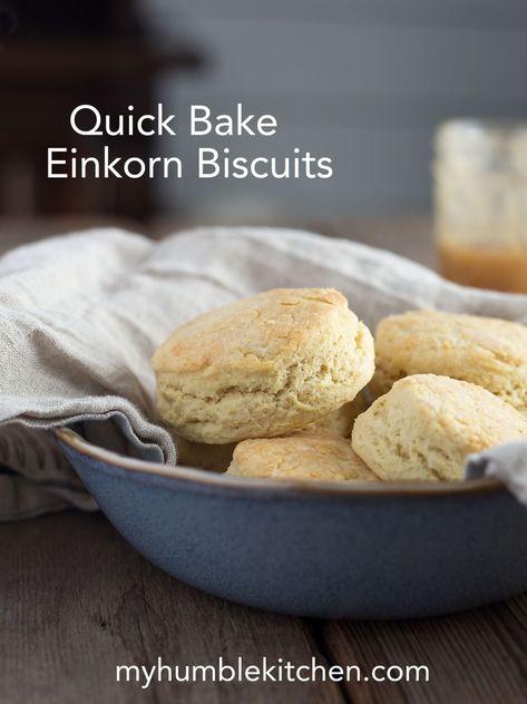 Quick Bake Einkorn Biscuits - My Humble Kitchen Einkorn Biscuits, Ancient Grains Recipes, Einkorn Bread, Humble Kitchen, Flour Biscuits, Einkorn Recipes, Healthy Flour, Einkorn Flour, Walnut Cookies