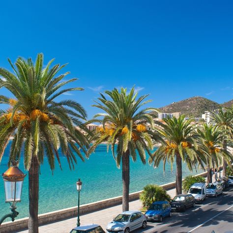 Salut les amis ! Qui connaît la magnifique Plage de Marinella à Ajaccio en Corse ? 🏖️☀️ C'est l'endroit parfait pour se détendre, nager dans une eau cristalline et profiter du soleil corse. Qui serait partant pour une journée plage à Marinella ? #corsicacamping #corsica #corse #igerscorsica #iledebeaute #corsicanlife #corsicaisland #corse_ile_de_beaute #corsica_focus_on #igerscorse #corsicanlandscapes #igerscorsica_natura #camping #campingcorse South Of France, Desktop Screenshot, France, Plants