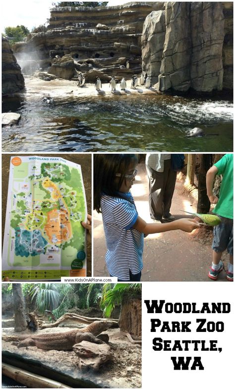 Woodland Park Zoo - planning a family vacation in Seattle? You'll want to add Woodland Park Zoo to your travel list! Seattle Activities, Seattle Vacation, Woodland Park Zoo, Evergreen State, Woodland Park, Us Travel Destinations, Girls Getaway, Family Vacation Destinations, Family Trip