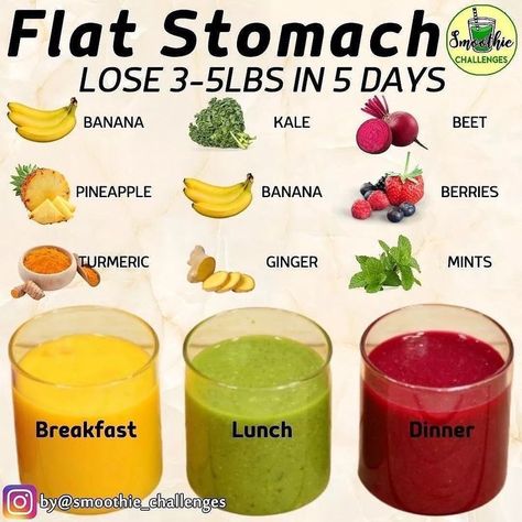 Easy Healthy Smoothie Recipes, Flat Stomach Diet, Healthy Diet Smoothies, Flat Belly Smoothie, Fruit Smoothie Recipes Healthy, Workout Shakes, Easy Healthy Smoothies, Smoothie Recipes Healthy Breakfast, Smoothie Drink Recipes