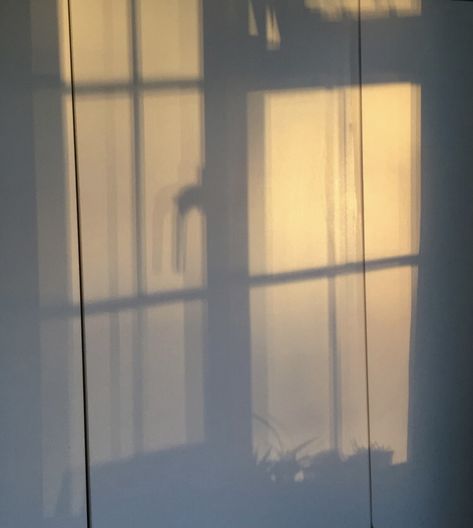 Sun Shadow Window, Chameleon Aesthetic, Yellow Grey Wallpaper, Shadow Window, Shadow Background, Sun Lamp, Shadow Shadow, Window Shadow, Sun Shadow