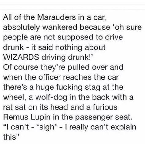 Marauders Headcanons, About Harry Potter, Harry Potter Memes Hilarious, Harry Potter Puns, Tumblr Post, Online Reading, My Guardian Angel, Harry Potter Headcannons, Your Guardian Angel