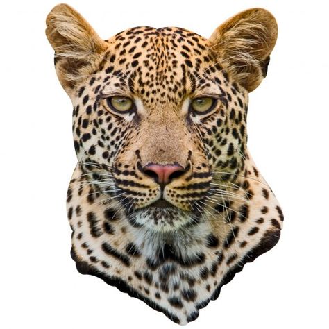 Leopard Wall Decal! I love this one.