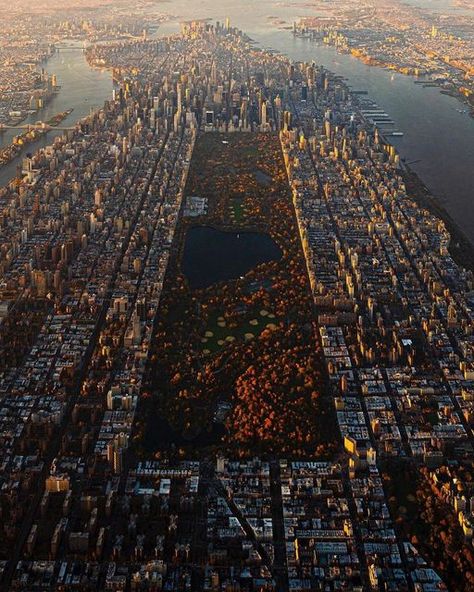 Central Park Autumn, New York From Above, City From Above, New York Central Park, New York Central, Nature Park, New York Photos, New York Life, New York City Travel