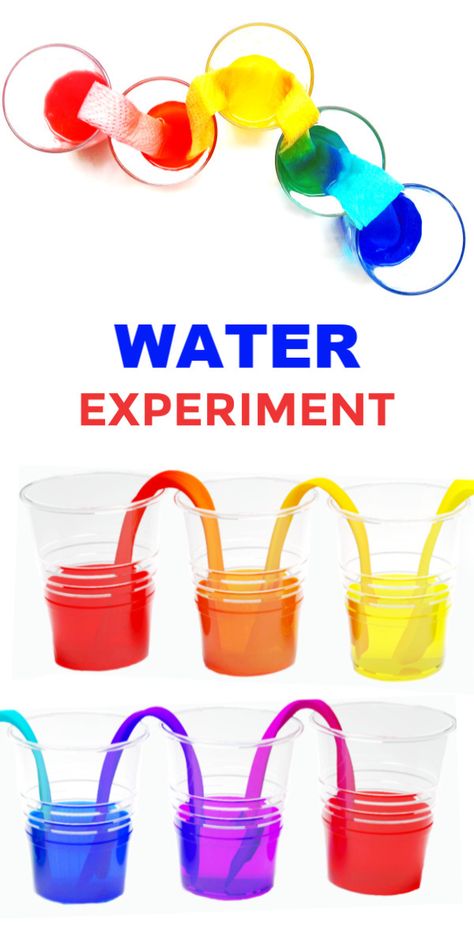 Make water walk with this easy and fun science experiment! Kids will be in awe as a water rainbow forms right before their eyes! #walkingwaterexperiment #walkingwater #rainbowwater #rainbowwaterexperiment #rainbowwalkingwater #walkingwaterexperimentforkids #waterexperimentsforkids #walkingwaterrainbow #scienceexperimentskids #scienceforkids Walking Water Experiment, Water Experiments For Kids, Rainbow Experiment, Water Experiments, Cool Experiments, Experiments Kids, Kids Homemade, Science Crafts, Crafts Preschool