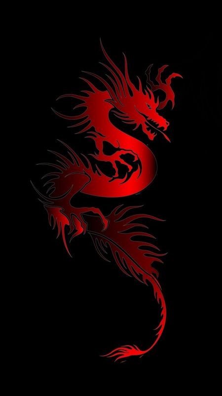 Dragon Tattoo Drawing, Dragon Tattoo Art, Dragon Wallpaper, Dragon Wallpaper Iphone, Amazing Animal Pictures, Eagle Pictures, Dragon Artwork Fantasy, Animated Wallpapers For Mobile, Dragon Illustration