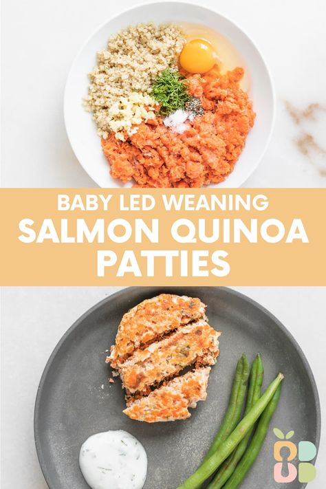 Baby Salmon Quinoa Patties with Dill Yogurt Sauce - Baby Led Bliss Salmon Patties For Babies, Blw Salmon Recipe, Baby Salmon Recipe, Easy Blw Dinner, Toddler Salmon Recipe, Salmon For Toddlers, Salmon Baby Led Weaning, Salmon Recipes For Baby, Blw Protein Ideas