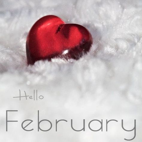 Today I’m thankful for the prettiest start to February. Really just one of those beautiful days where you feel so lucky to be alive. New Month Greetings, February Hello, Hello February Quotes, February Images, New Month Wishes, February Quotes, New Month Quotes, February Wallpaper, February Month