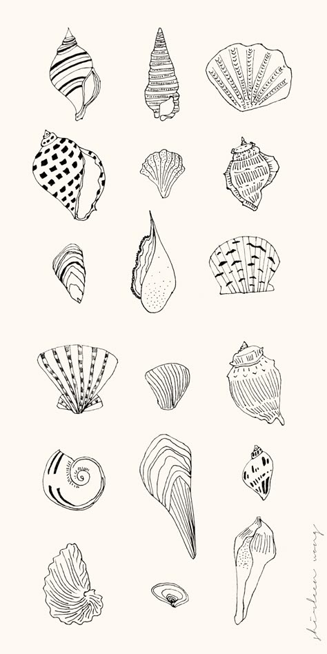 Shell Line Tattoo, Sea Shell Illustration, Shells Illustration, Shell Illustration, Seashell Illustration, Shell Graphic, Shell Tattoo, Simple Tats, Shell Drawing