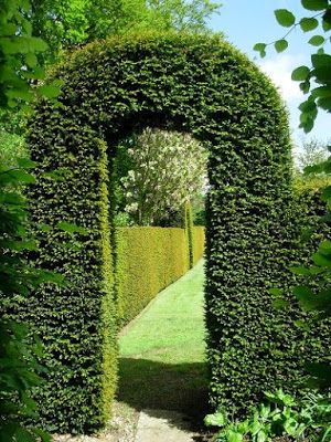 Willowbrook Park: Hedge Archways... Hedge Walkway Pathways, Hedge Archway, Fern Ground Arch, Fedge Hedge, Hedge Maze Secret Gardens, Outdoor Topiary, Garden Hedges, Garden Fence Panels, Garden Arches