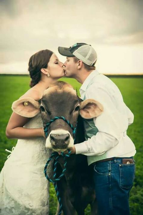 Love this Cow Engagement Pictures, Vegas Bomb, Cow Wedding, Weddings Country, Cute Country Couples, Cow Photos, Rustic Farm Wedding, Engagement Photos Country, Country Couples