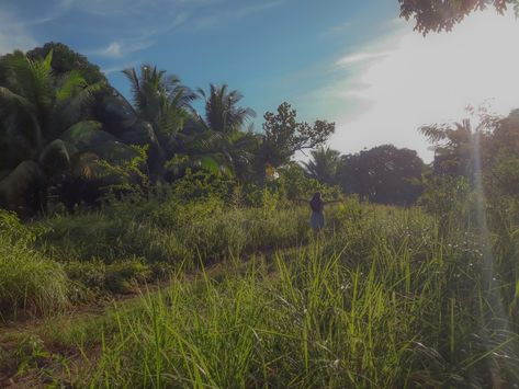 #philippines #cebu #sunrise #countryside #bukid #nature #cottagecore Bukid Life Philippines, Philippines Countryside, Rural Philippines, Sunrise Countryside, Asian Countryside, Nature Cottagecore, Philippines Cebu, Cebu, Blur