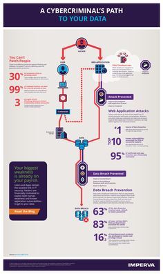 Cybersecurity Infographic, Learn Computer Coding, Computer Coding, Computer Knowledge, Computer Tips, Security Technology, Computer Security, Computer Basics, Online Safety