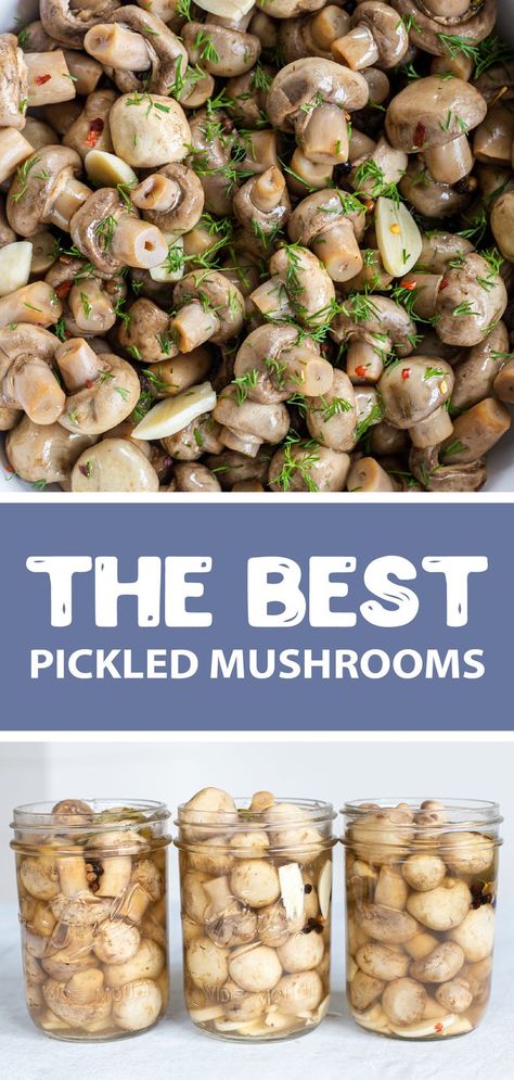 Pickled Mushrooms Recipe, Mushroom Marinade, Pickled Mushrooms, Pickled Things, Fermented Recipes, Pickled Vegetables Recipe, Pickled Foods, Quick Pickles, Mushroom Appetizers