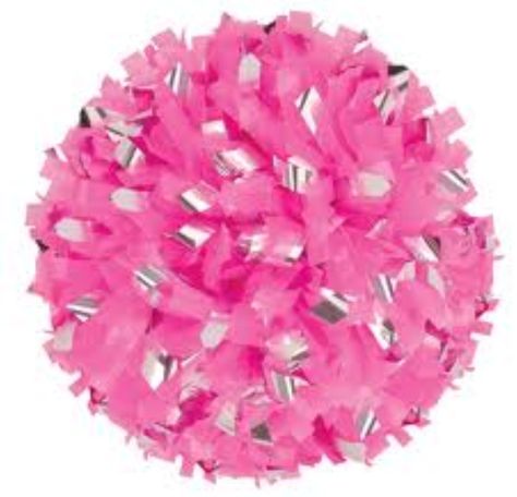 Pink Pom Poms for cheerleading Cheerleading Essentials, School Cheerleading, Pink Pom Poms, Spirit Gear, Pink Games, Pink Hair Bows, Pink Day, Cheer Dance, Pink Out