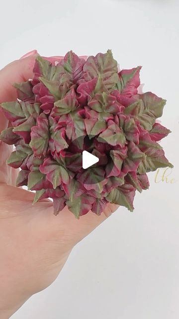 Kirsty on Instagram: "Nice and easy succulent made out of buttercream ♥️ we sell lots of different leaf piping tips which you can check out on our website. Link in our bio #buttercreamdream #cakemasters #cupcakeartist #cupcakeinspo  #caketutorial #pipingtips #ediblebouquet #edibleroses #floristandflowers #caketutorials #cupcakeinspo #cupcakeartist #cupcakeart #cupcakelove #customcupcakes #americanbuttercream #flowercupcakes #bakingreels #reelife #cupcakereels #cakedecoratingreel #cakereel #cakereels #buttercreampetals #buttercreamflower #cakeflower #flowercakes #handmadeflowers #pipingreels #buttercreamdecorating #pipingnozzles #bouquetofcupcakes" Succulent Cupcakes, Cupcake Piping, Christmas Themed Cake, Edible Roses, Buttercream Decorating, Edible Bouquets, Cupcake Tutorial, Christmas Easy, Butterfly Cake