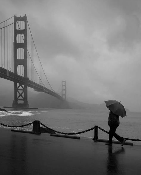 San Francisco Rainy Day, Foggy San Francisco, Sam Core, San Francisco Aesthetic, Rainy Photography, San Francisco Architecture, Rainy City, Scarlet Spider, Love Wallpapers Romantic