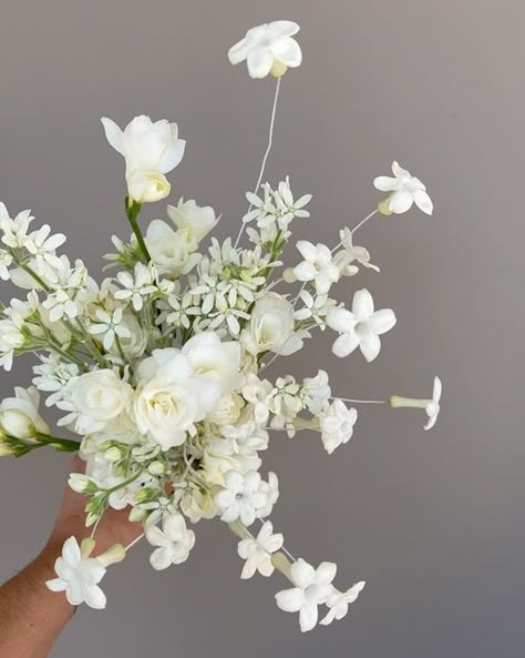 Tweedia Bouquet, Freesia Arrangement, Fresia Bouquet Wedding, White Freesia Bouquet, White Tweedia, Rose And Freesia Wedding Bouquet, Freesia Wedding Bouquet, Bridal Bouquet Freesia, Freesia Bridesmaid Bouquet