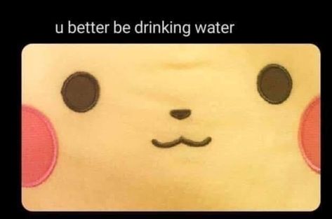 Drink Water Reminder Funny, Stay Hydrated Funny, Drink Water Motivation, Water Meme, Reminder To Myself, Pikachu Funny, Keep Hydrated, Water Reminder, Response Memes