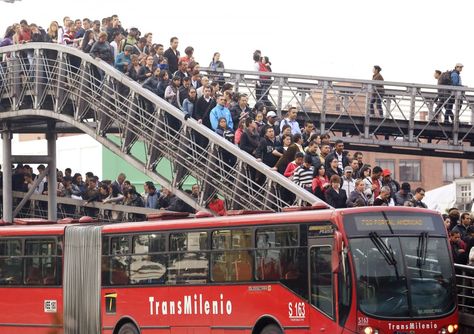 Bus System, Public Transit, World Economic Forum, Rush Hour, Sydney Harbour Bridge, Capital City, Big Data, Rush, Transportation