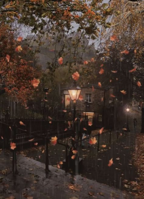 Rainy Fall Night, Rainy Christmas Aesthetic, Downpour Aesthetic, Autumn Cozy Rainy Days, Nature Rain Wallpaper, Aesthetic Rainy Night, Autumn Night Aesthetic, Rainy Autumn Aesthetic, Rainy Christmas