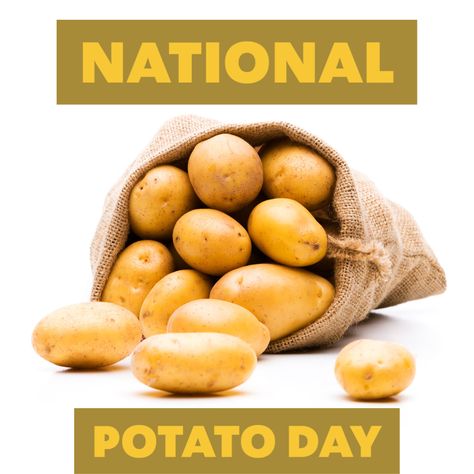 If you like spuds, this one’s for you! Potatoes have been a popular food for centuries so it’s about time we recognize this versatile and ap-peeling favorite. Now just fry and stop us from telling you what makes National Potato Day so …spudtacular. #NationalPotatoDay Potato Types And Uses, Potato Infographic, Potatoes Images, Pit Potatoes Nelsons, National Potato Day, Popular Food, About Time, Popular Recipes, Potato