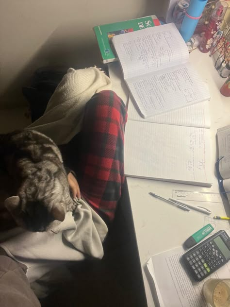 Cat Studying, Study Mood, Mood Aesthetic, Academic Validation, Study Board, Study Motivation Video, Academic Motivation, Best Friends Shoot, Motivation Board