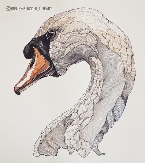 Animal Watercolor, A Level Art Sketchbook, Watercolour Inspiration, Abstract Geometric Art, Instagram White, White Swan, Animal Sketches, Ink On Paper, Bird Drawings