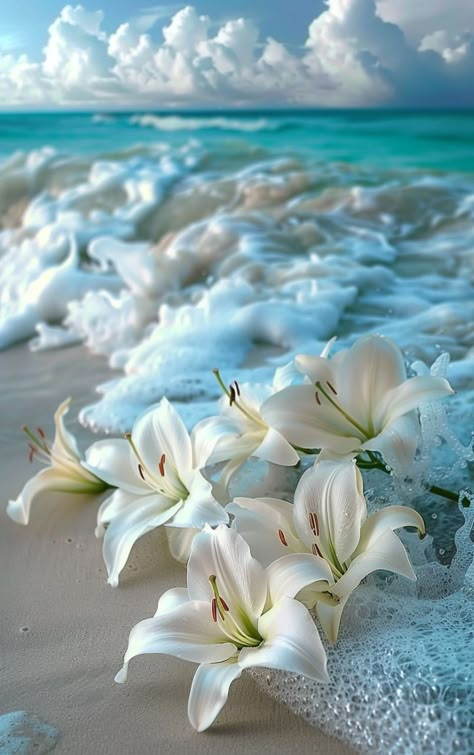 Prompt 👉Bouquet of white lilies lying on white sand washed by foamy turquoise surf wave, fantastic, photorealistic picture, tumblr, breathtaking beautiful white beach, detailed lily flowers, wonderful reflection of the sky, close-up!!!!!! Fantastic beautiful wallpaper on iPhone]r 👉 if Like, please Follow and Share AI Graphics Studio 👇Contact on WhatsAPP: http://tiny.cc/aigraphicsstudio #aigraphicsstudio #AI #DigitalMarketing #digitalartist #digitalart #digital #creativephotography #designin... Beautiful White Flowers, Graphic Art Wallpaper, White Lily, Lily Flowers, Lily Flower Background, White Lily Wallpaper Iphone, Beach And Flowers Wallpaper, Lilies Flowers, White Lilies Wallpaper