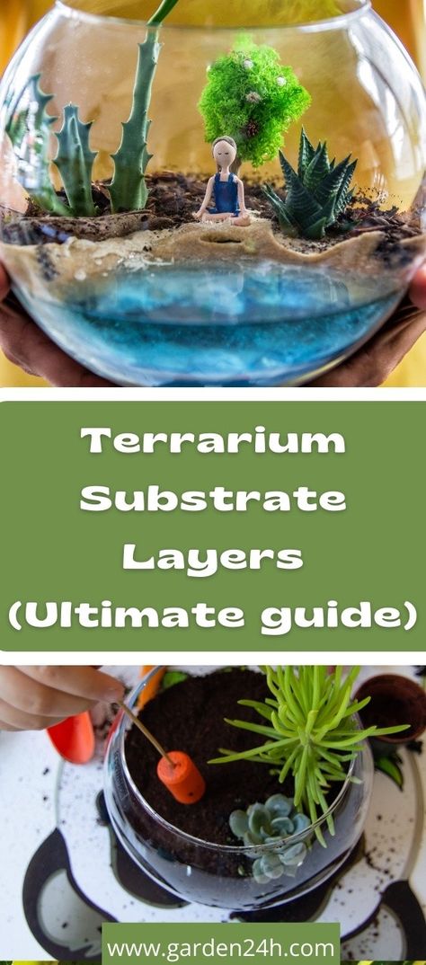 Terrarium Substrate Layers, Open Terrarium Layers, Terrarium Layers, Bioactive Terrarium, Bioactive Vivarium, Build A Terrarium, Open Terrariums, Terrarium Jar, Pea Gravel