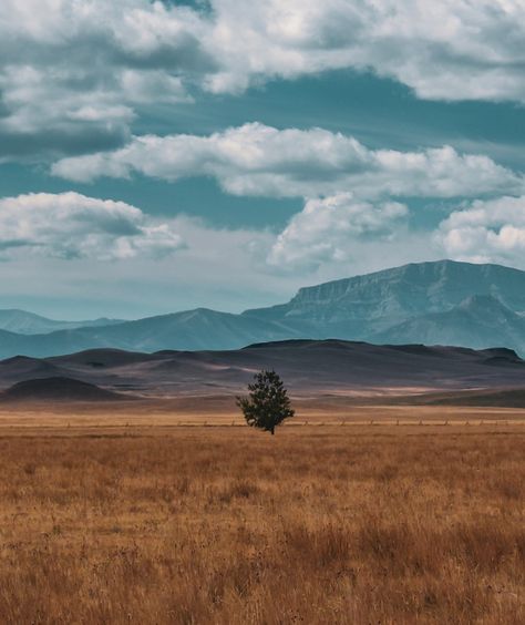 American Landscape Photography, Alberta Prairie, Prairie Photography, Yellowstone Aesthetic, Wyoming Aesthetic, Western Nature, Yellowstone National Park Photography, Missouri Photography, American Prairie