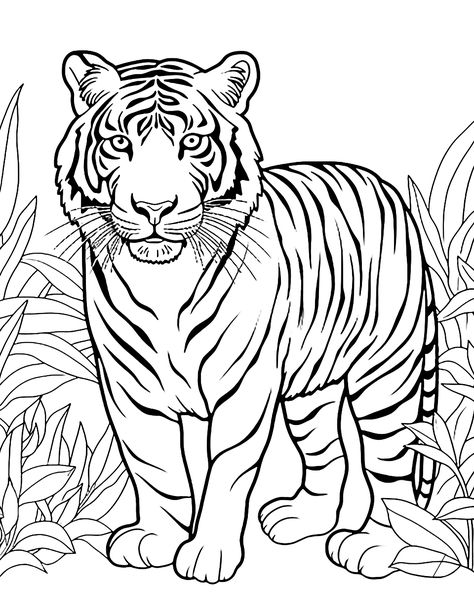 Pictures Of Tigers To Draw, Tiger Colouring Pages, Tiger Coloring Pages Free Printable, Tiger Outline Drawing, How To Draw A Tiger, Tiger Drawing Sketches, Tiger Art Illustration, Tiger Drawing Easy, Tiger Template