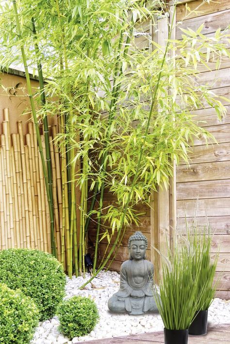 #kandy #magasinskandy #jardin #extérieur #zen #bambou #décoration #déco #bouddha #maison Green Community, Balinese Garden, Side Yard Landscaping, Zen Garden Design, Tropical Garden Design, Small Courtyard Gardens, Japanese Zen Garden, Small Front Yard Landscaping, Garden Ideas Cheap