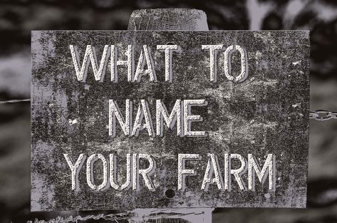 Farmhouse Names, Hunting Land Ideas, Homestead Sign, Ranch Names Ideas, Farm Name Generator, Ranch Names, Ranch Farm, Farm Layout, Future Farms