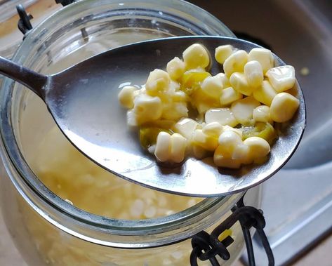 Southern Sour Corn Recipe - How to Make Lacto Fermented Corn Fermented Corn, Pickled Corn, Fried Quail, Lacto Fermented, Fermentation Recipes, Corn Recipe, Chicken Fried Steak, Sweet Tart, Corn Recipes