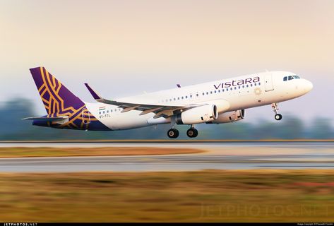 Vistara Airlines, Eco Project, A320 Neo, Plane Photos, Airbus A320, Boeing 747 200, Airline Flights, Deck Photos, Airport City